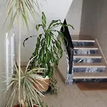 Soul Surfer Apartment