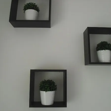 Soul Surfer Lejlighed *