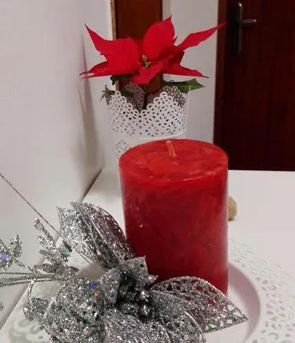 Soul Surfer Apartmán Peniche